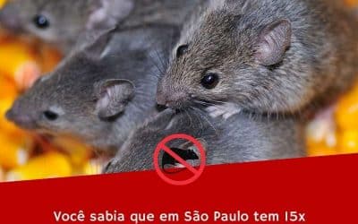 São Paulo existe mais ratos do que pessoas